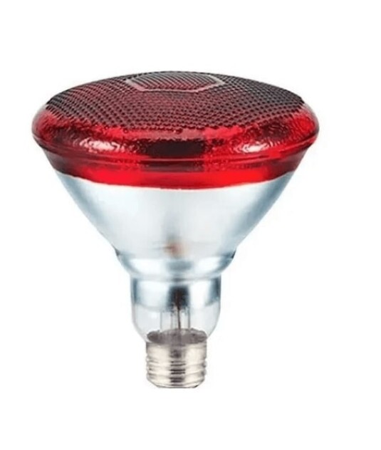 Lampada Infra Vermelho Carci