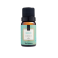 Essência 10ml Via Aroma - Black Vanila + Essência 10ml Via Aroma - Breeze + Essência 10ml Via Aroma- Alecrim Silvestre