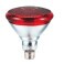 Lampada Infra Vermelho Carci