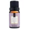 Essência Aromatizante para Aromatizador Elétrico 10ml Lavanda Via Aroma