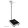 Balança Welmy Antropométrica Digital 300 kg com Régua W-300A LED