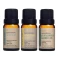 Kit Óleos Essenciais 10ml Via Aroma - Alecrim/Bergamot Italy/Eucaliptus Globulus