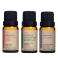 Kit Óleos Essenciais 10ml Via Aroma - Laranja Doce/Eucaliptus Globulus/Lavanda