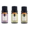 Essência 10ml Via Aroma - Lavanda + Essência 10ml Via Aroma - Capim Limão + Essência 10ml Via Aroma - Alecrim Silvestre